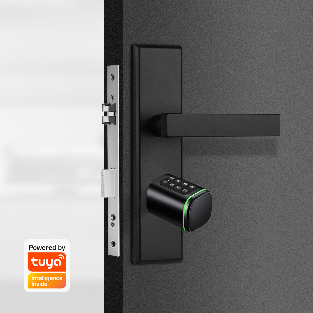 Inteligentny zamek cylindryczn – Home Security Battery recenzja i cena